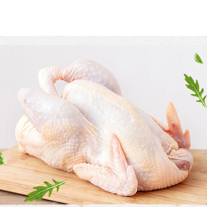 正宗清远麻鸡原产地凤中皇清远鸡直发土鸡肉鸡农产品